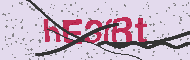 Captcha認証コード